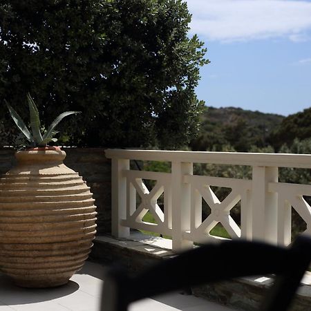 Aithra -Agios Petros Andros Villa Гаврион Екстериор снимка