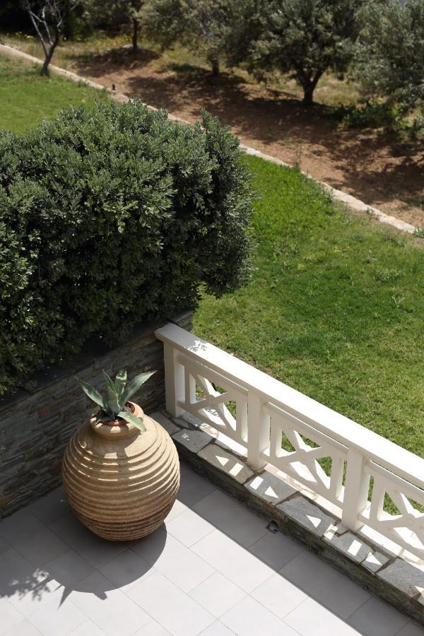 Aithra -Agios Petros Andros Villa Гаврион Екстериор снимка