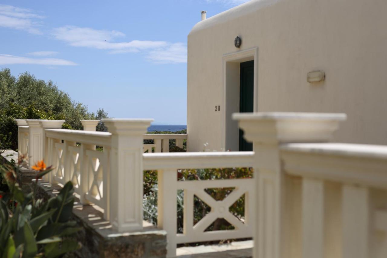 Aithra -Agios Petros Andros Villa Гаврион Екстериор снимка