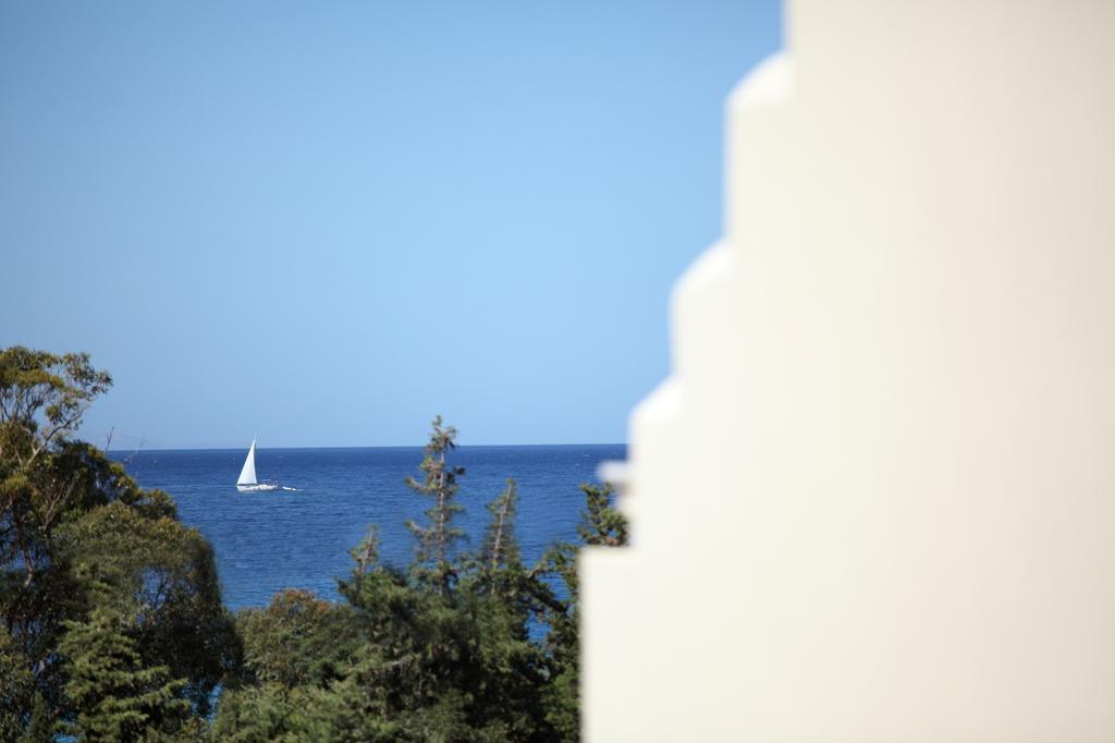 Aithra -Agios Petros Andros Villa Гаврион Екстериор снимка