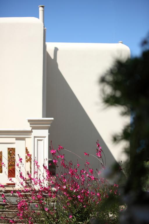 Aithra -Agios Petros Andros Villa Гаврион Екстериор снимка